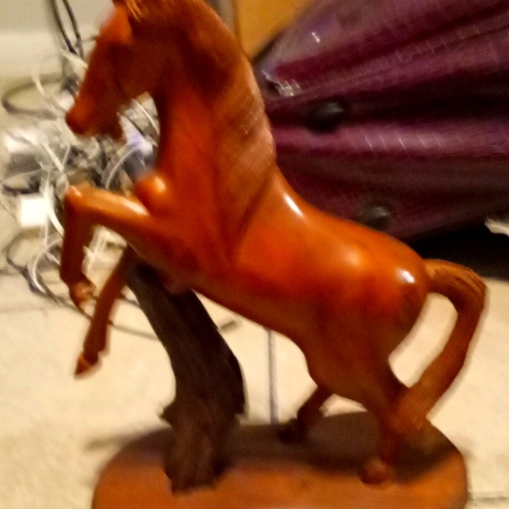 Hand carved lapjco hose